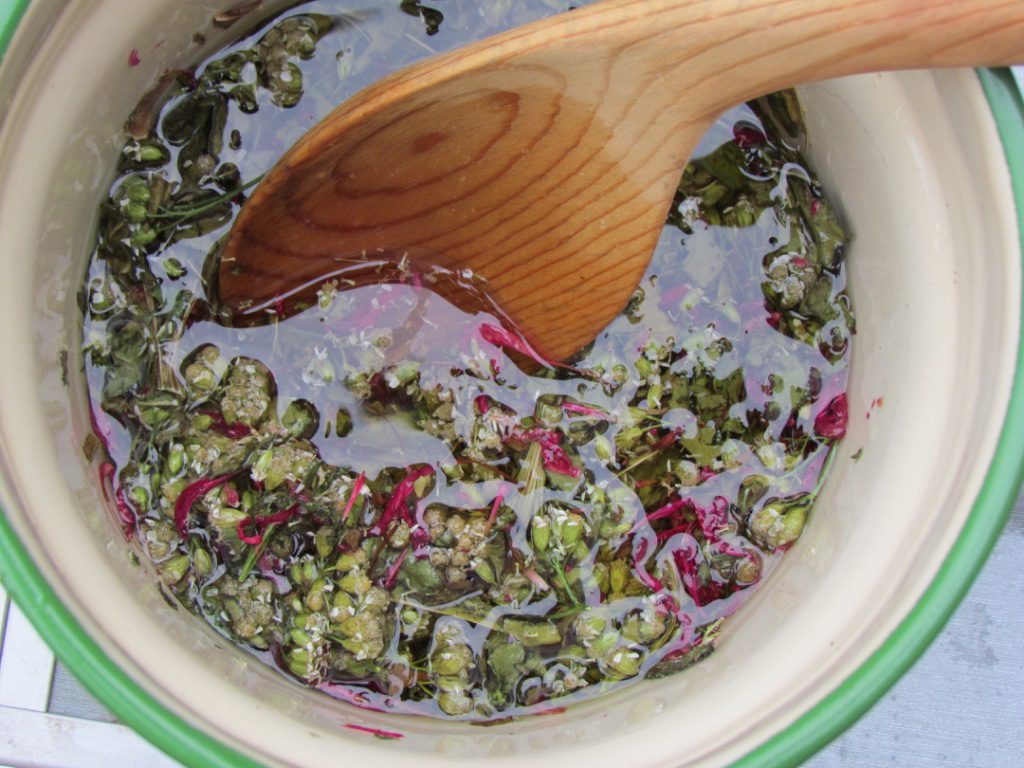 make your own tinctures and salves