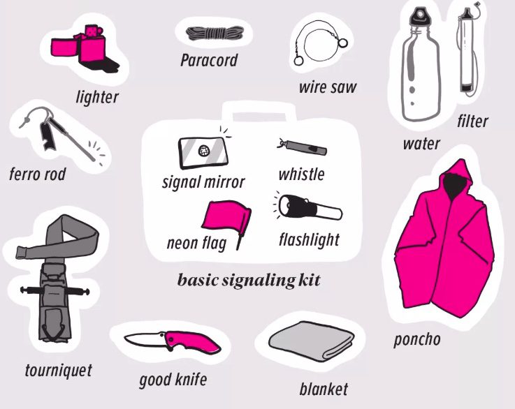 Dr. Nicole Apelian's Survival Kit