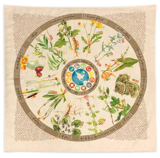 wild, edible, and medicinal plants