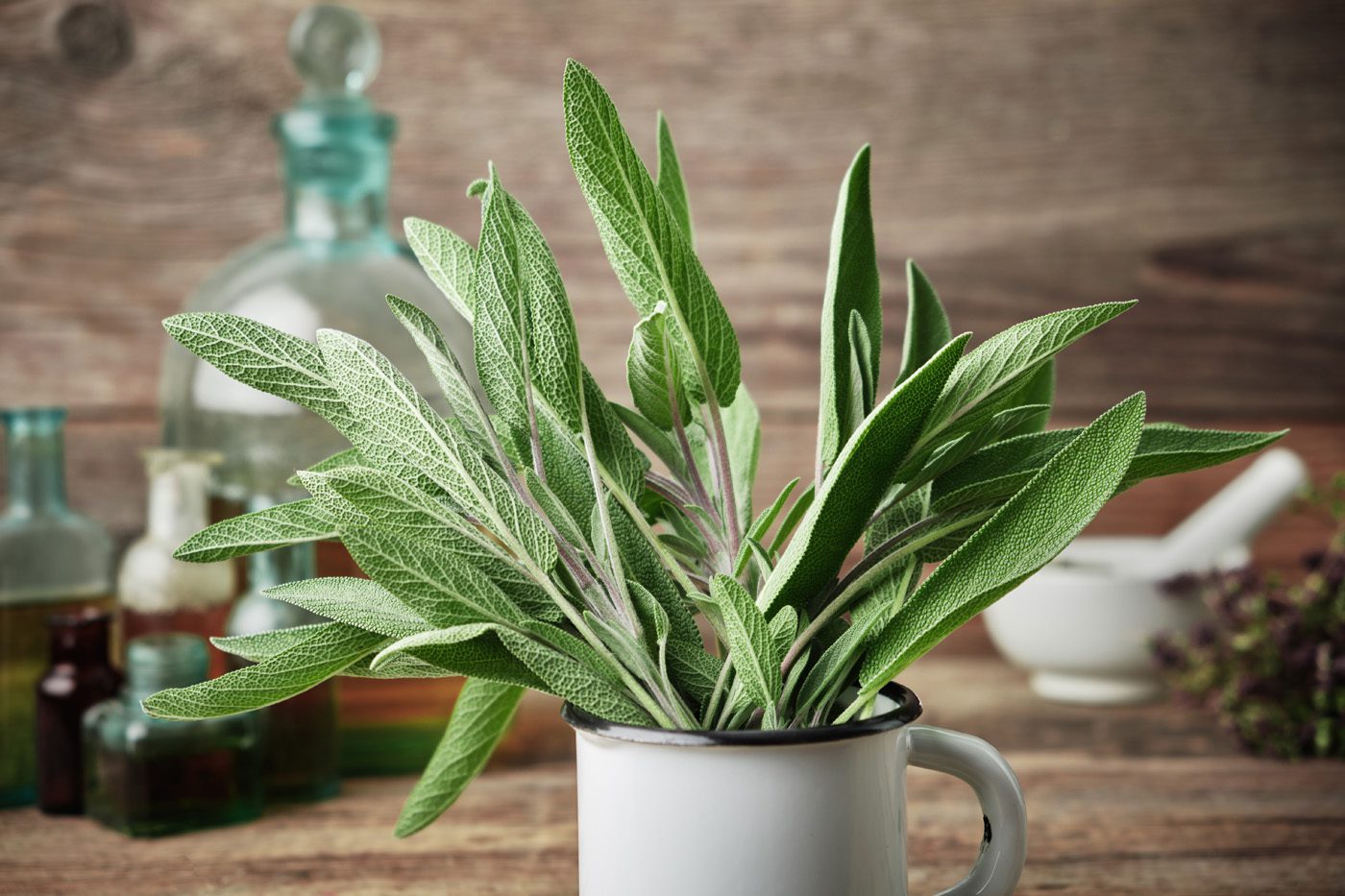 Fresh sage