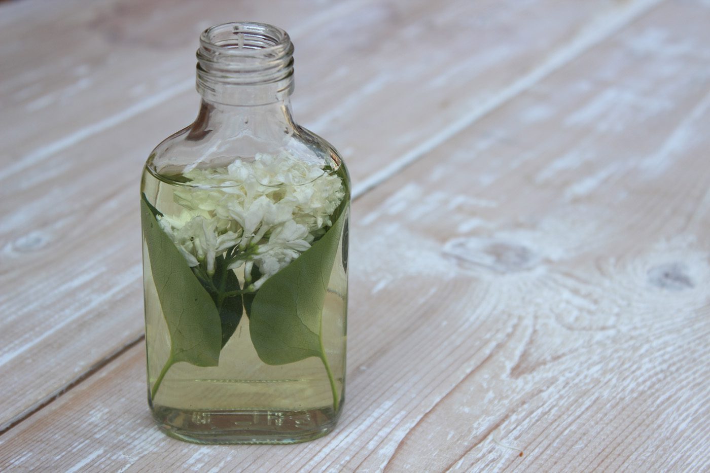 Tincture of lilac flowers