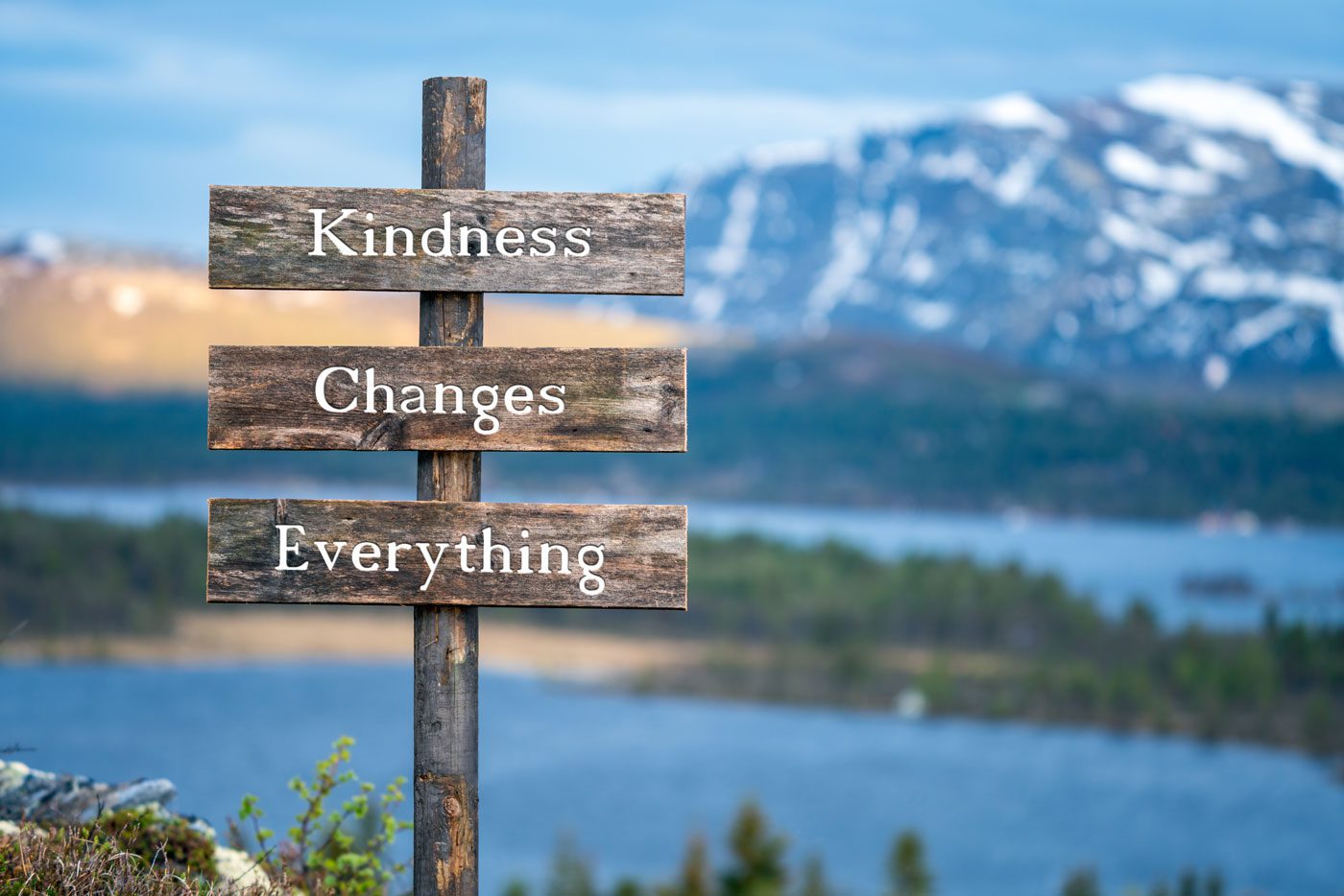 kindness changes everything sign in nature