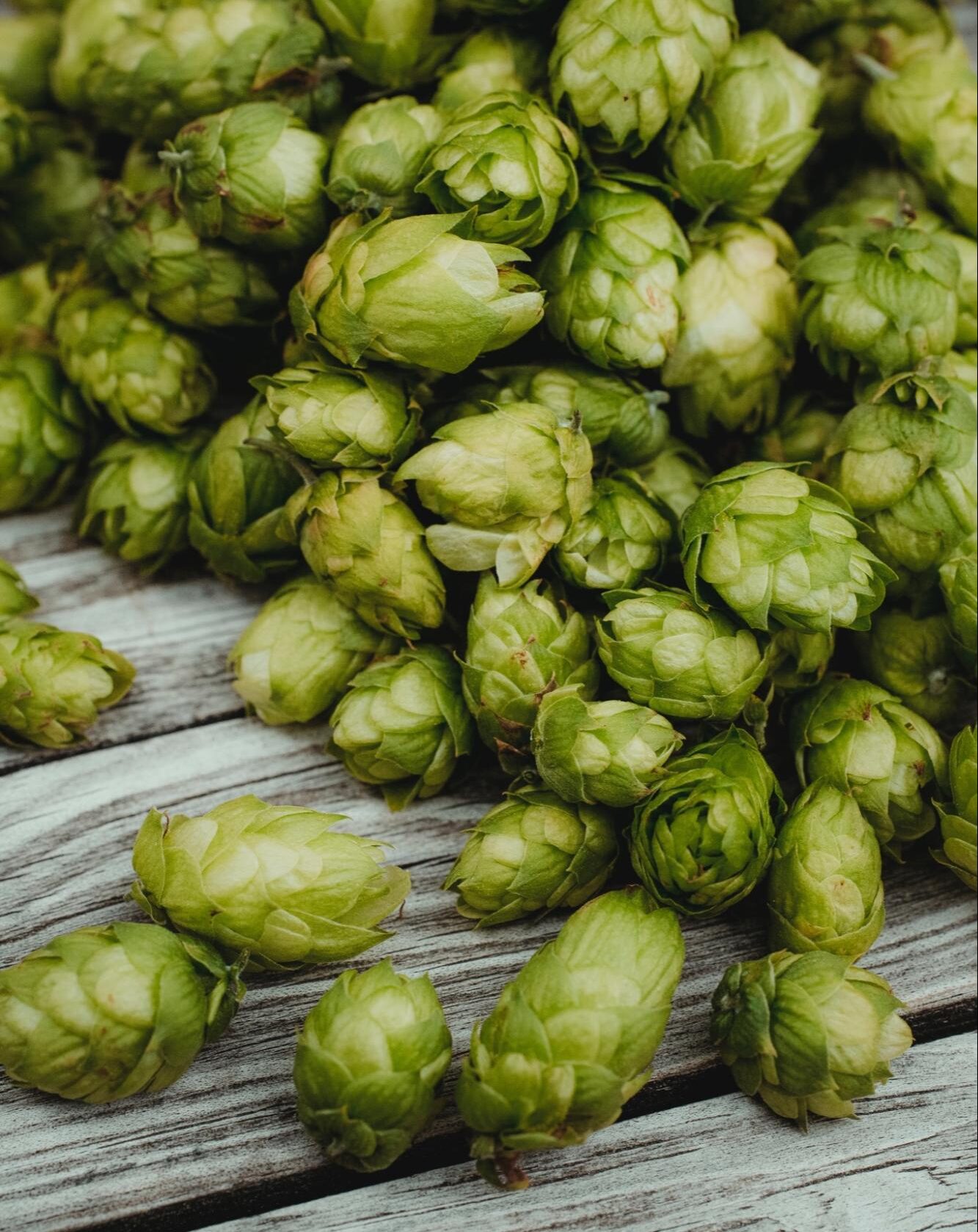 hops hops