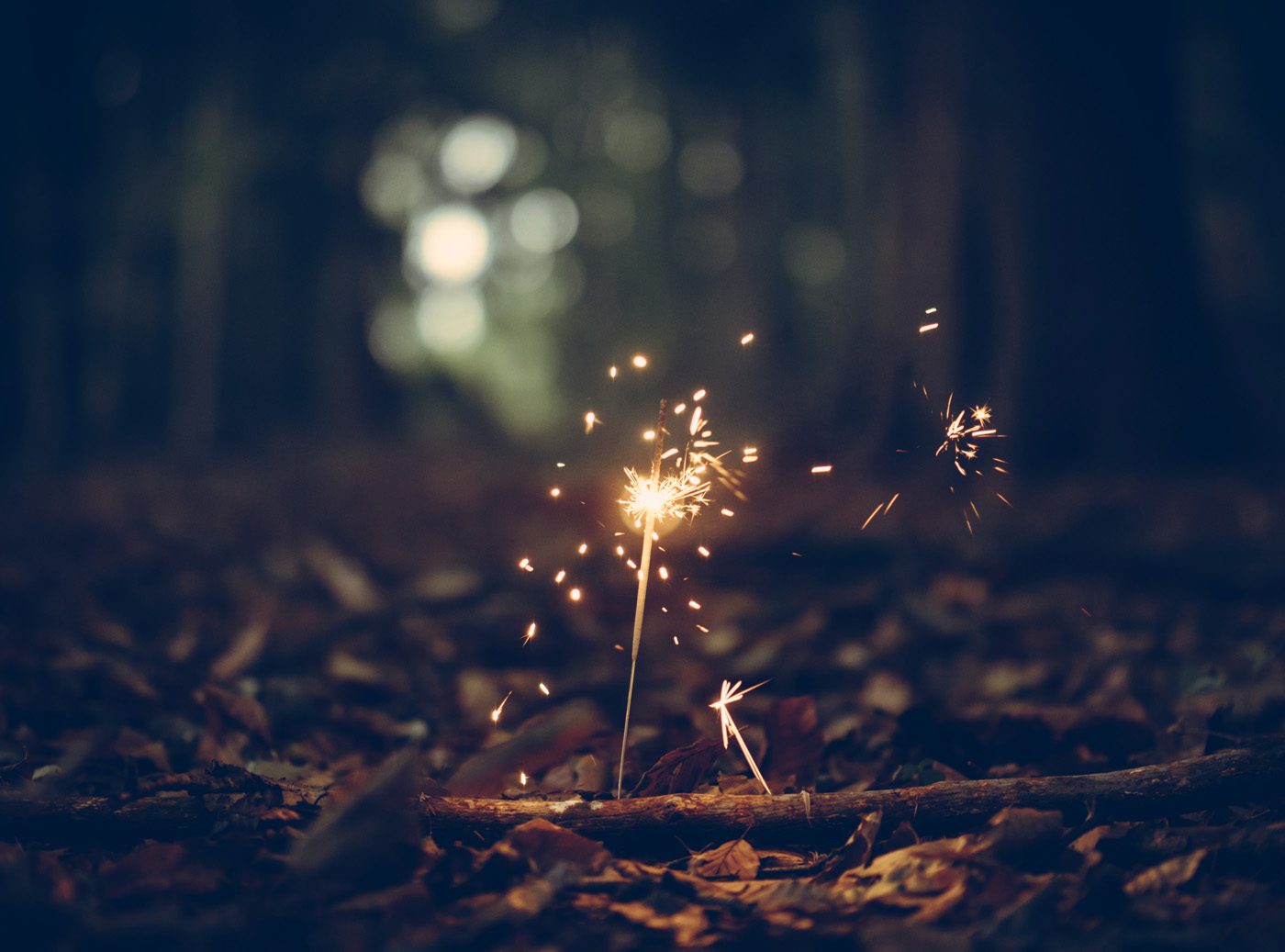 sparkler in the forest