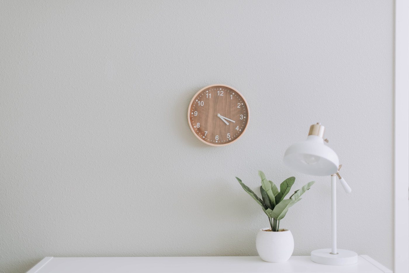 clock on wall with plant