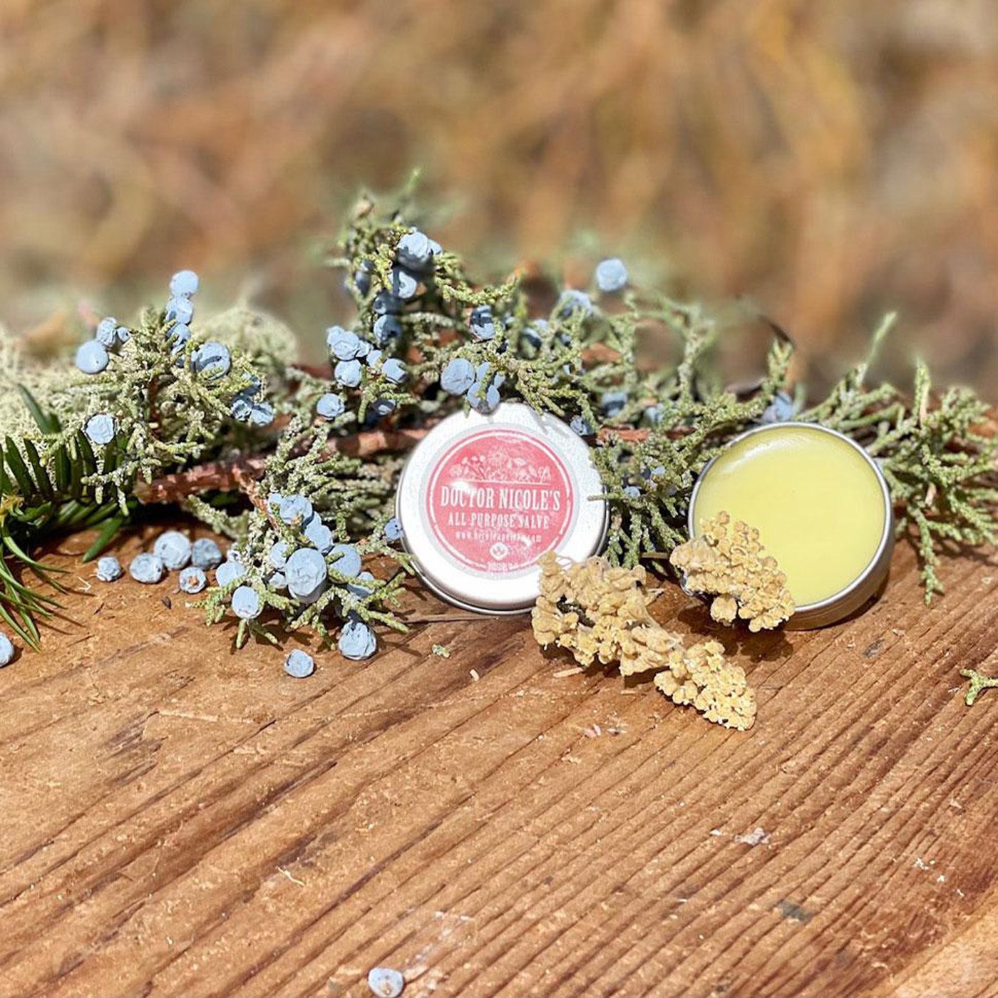 Nicole's Apothecary Sleep Blend Tincture by Nicole Apelian Nicole's Apothecary All Purpose Salve