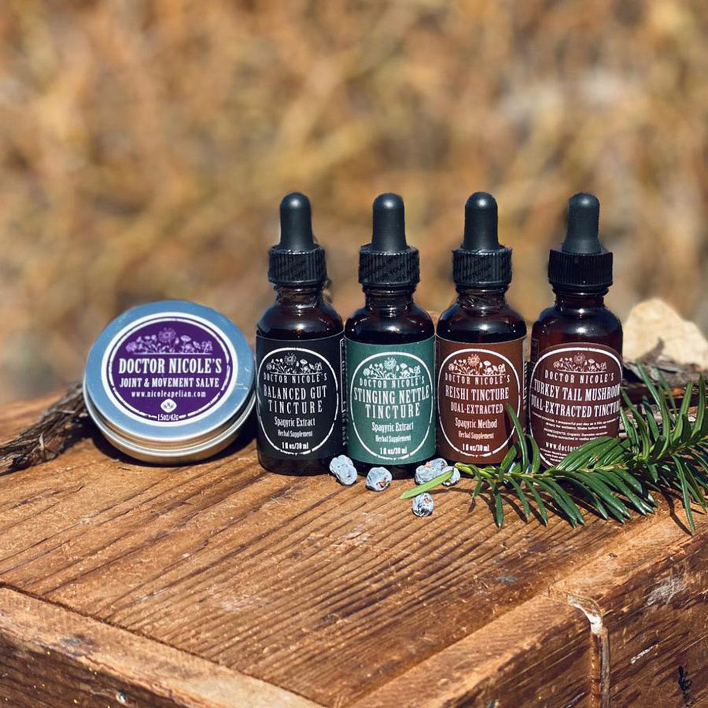 Nicole's Apothecary Sleep Blend Tincture by Nicole Apelian Nicoles Apothecary Joint & Movement Bundle