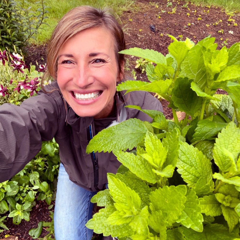 Nicole Apelian harvesting Lemon Balm Nicole Apelian harvesting Lemon Balm