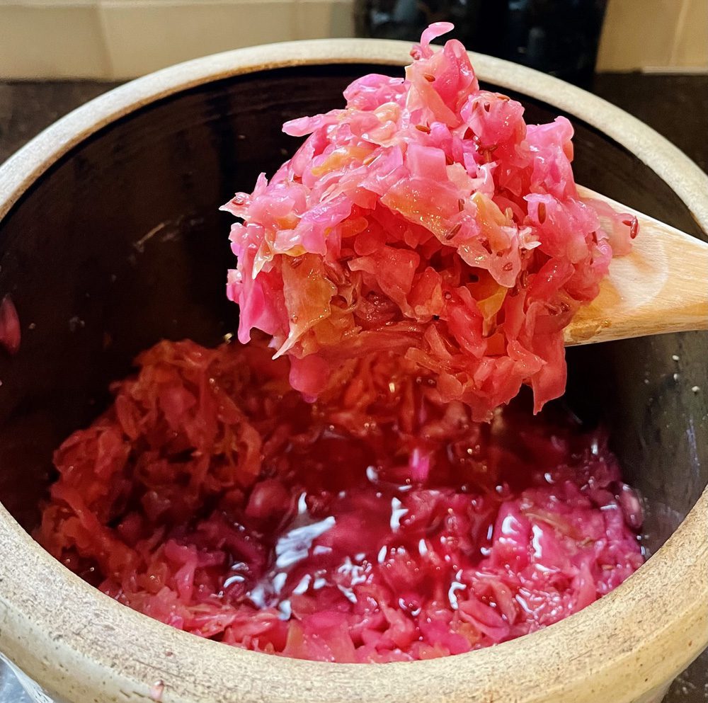 probiotic sauerkraut pickled cabbage probiotic sauerkraut pickled cabbage