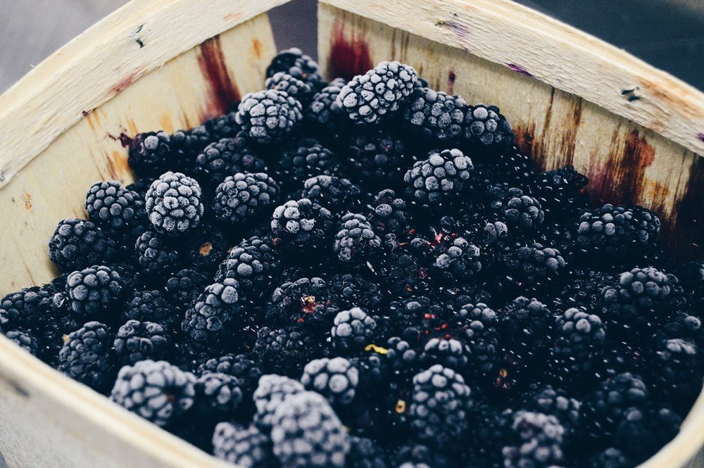 frosty blackberries frosty blackberries