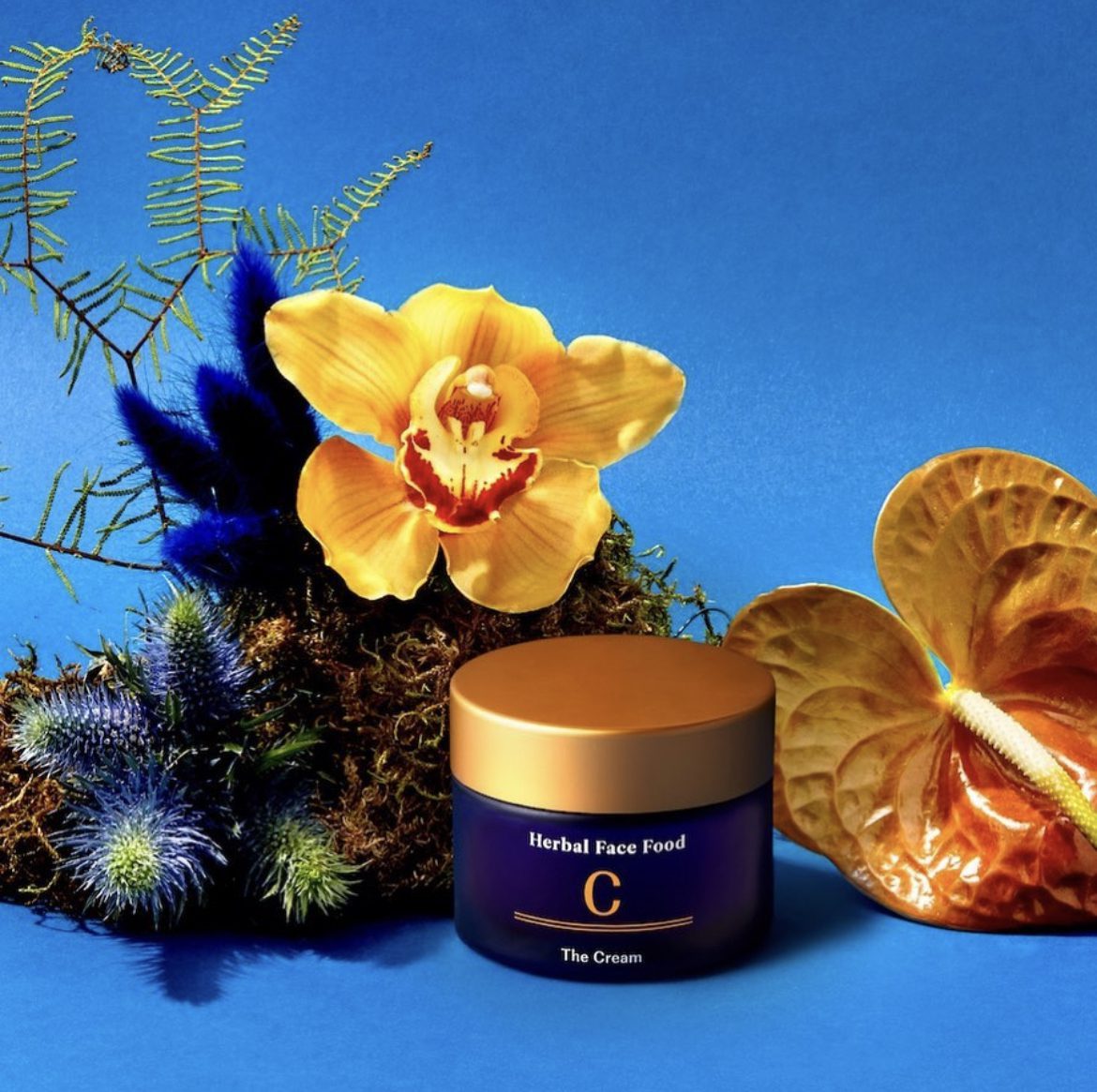 herbal face food cream