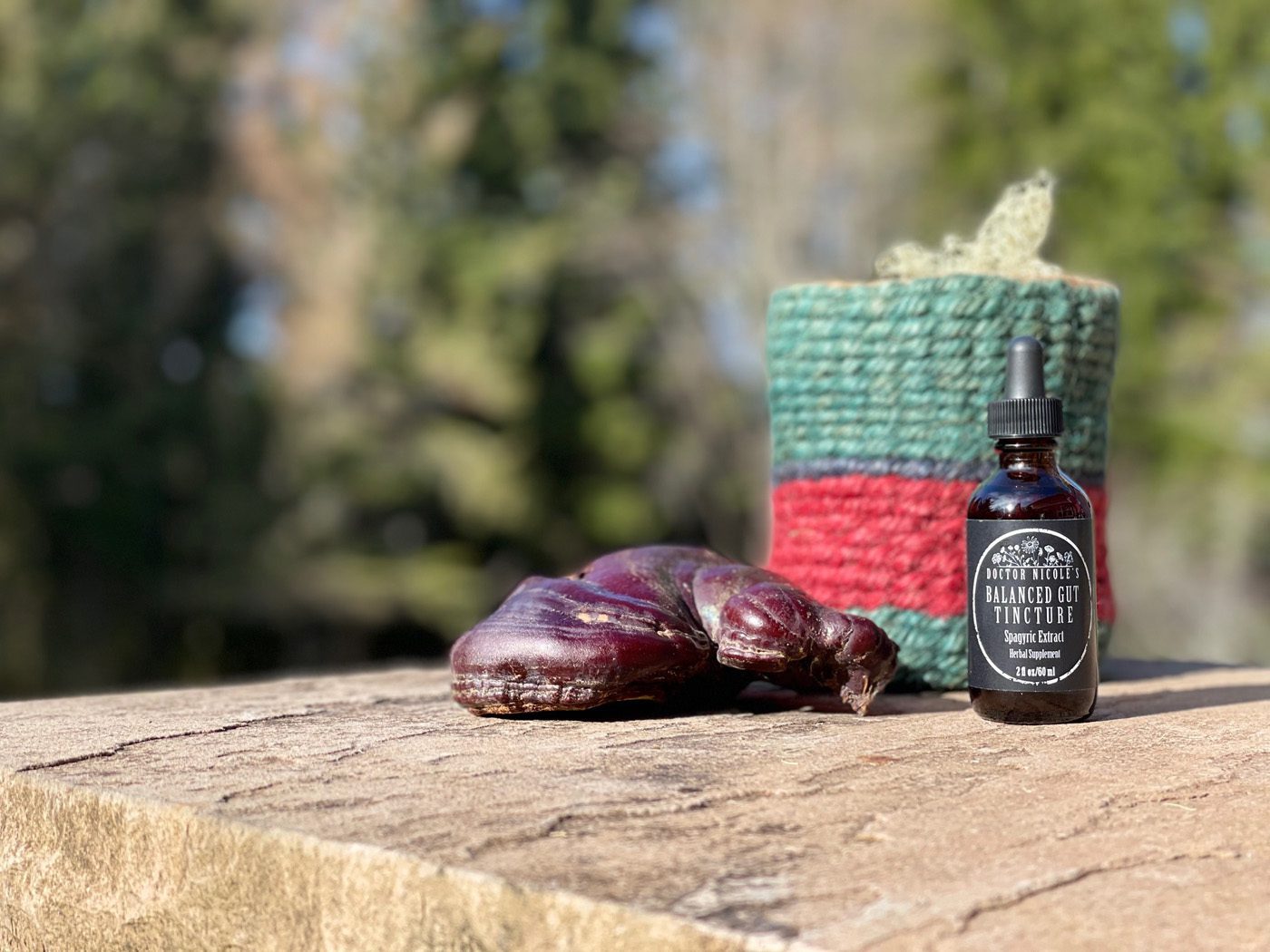 Nicoles Apothecary Balanced Gut Tincture Nicoles Apothecary Balanced Gut Tincture