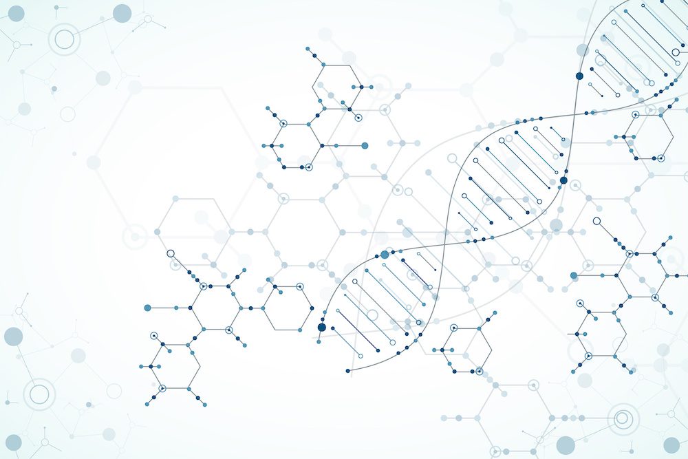DNA molecules DNA molecules