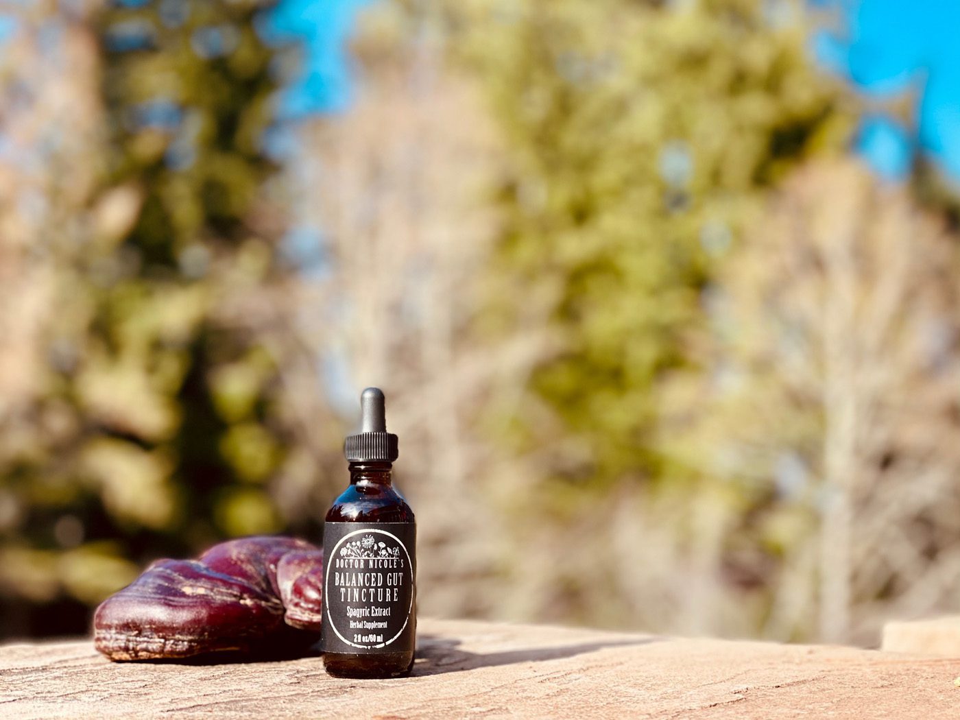 Balanced Gut Tincture Balanced Gut Tincture