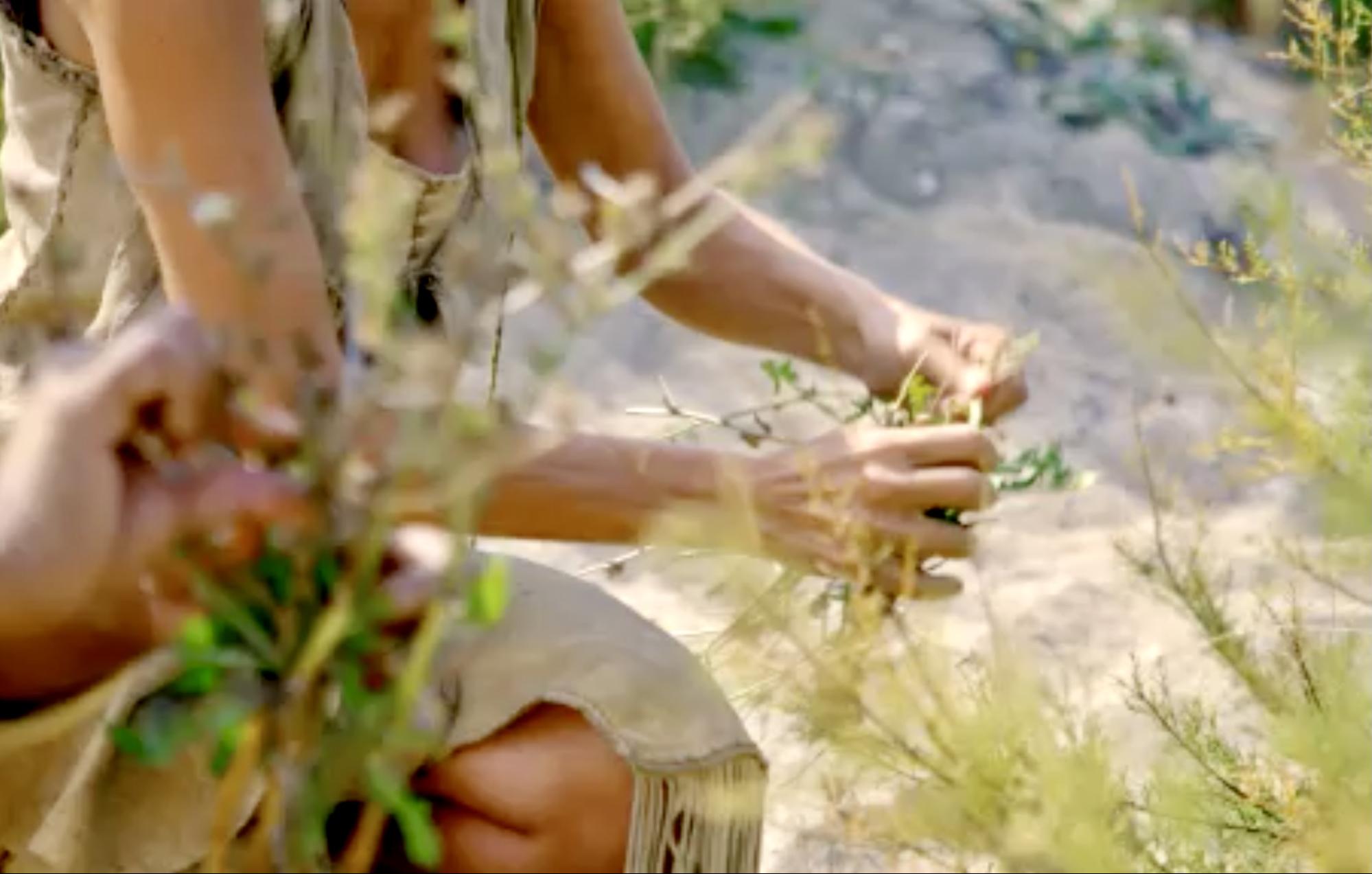 Nicole Apelian foraging