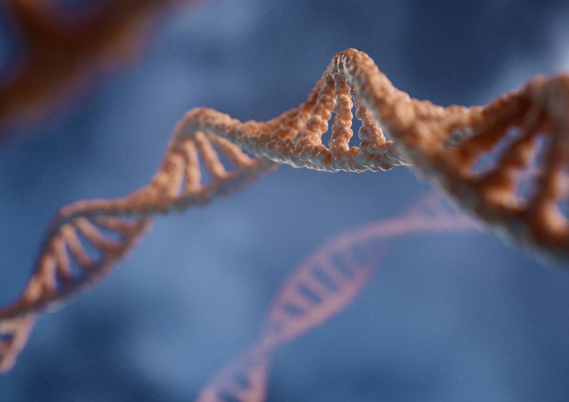 DNA strand DNA strand