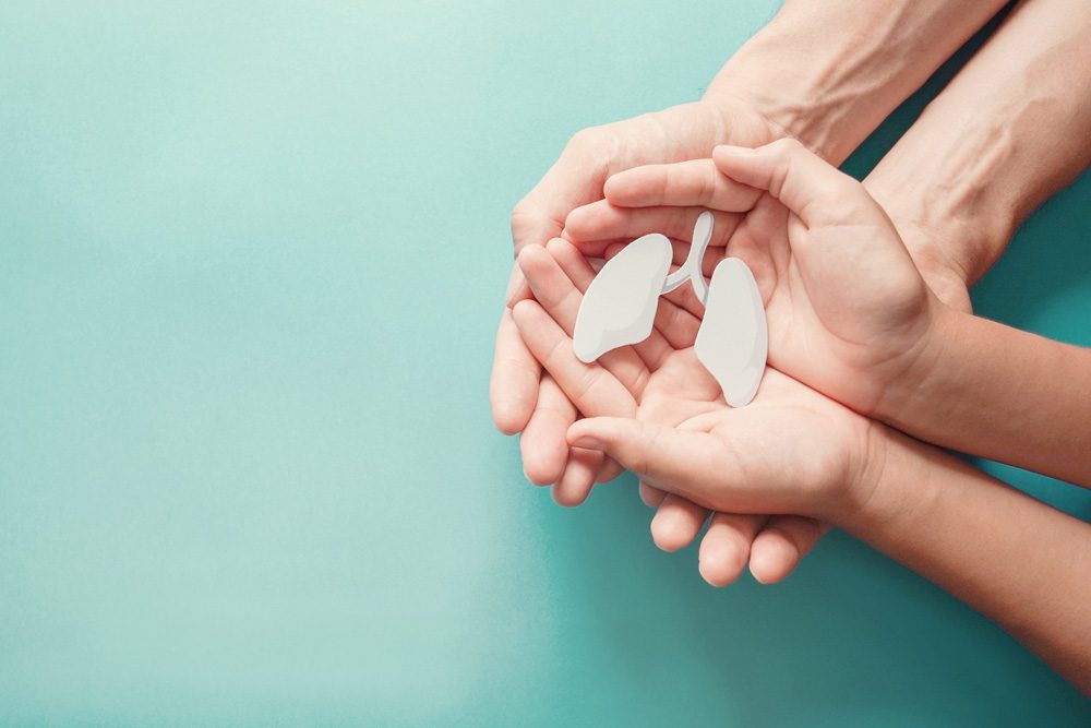 hands holding model lungs