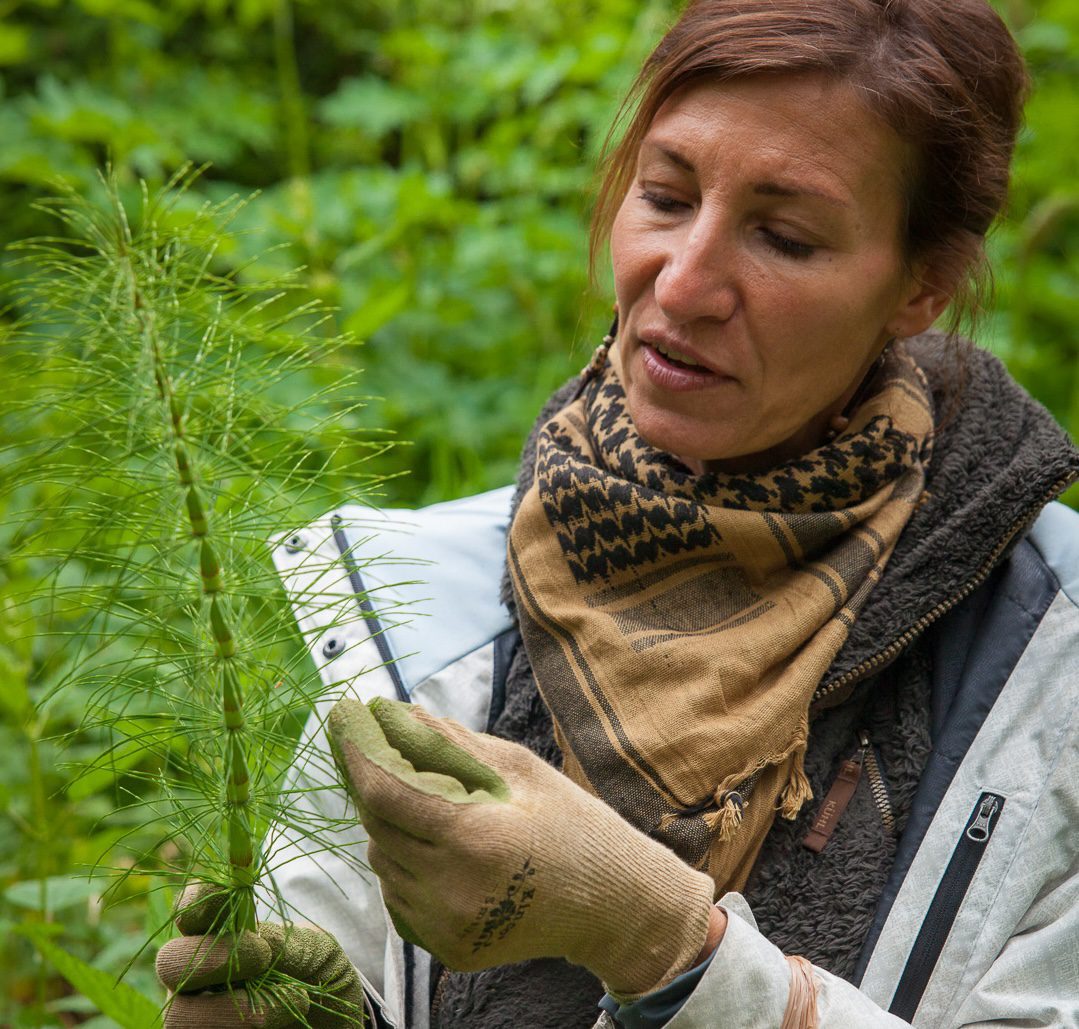 Nicole Apelian foraging