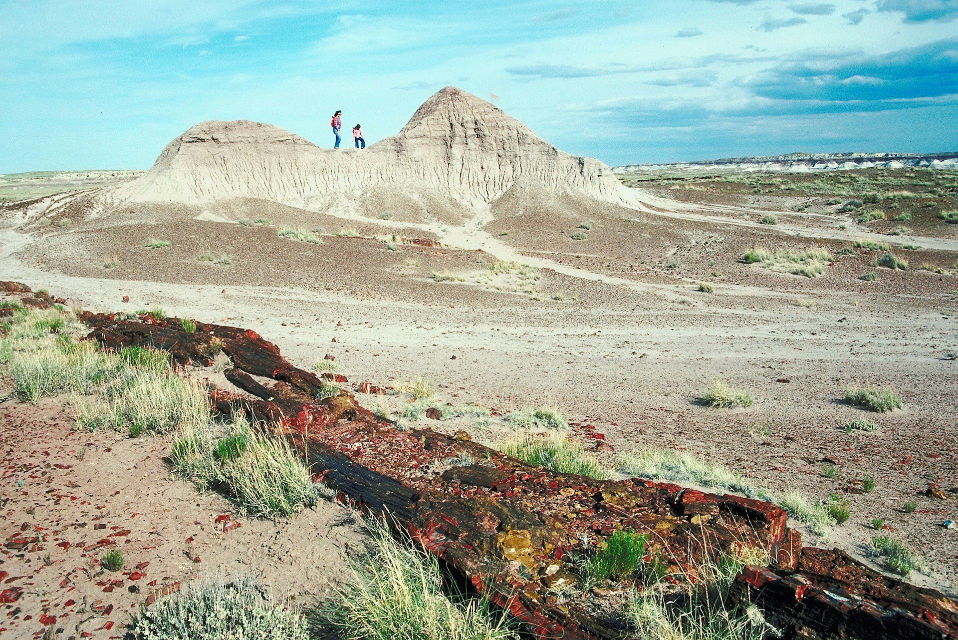 high desert scene