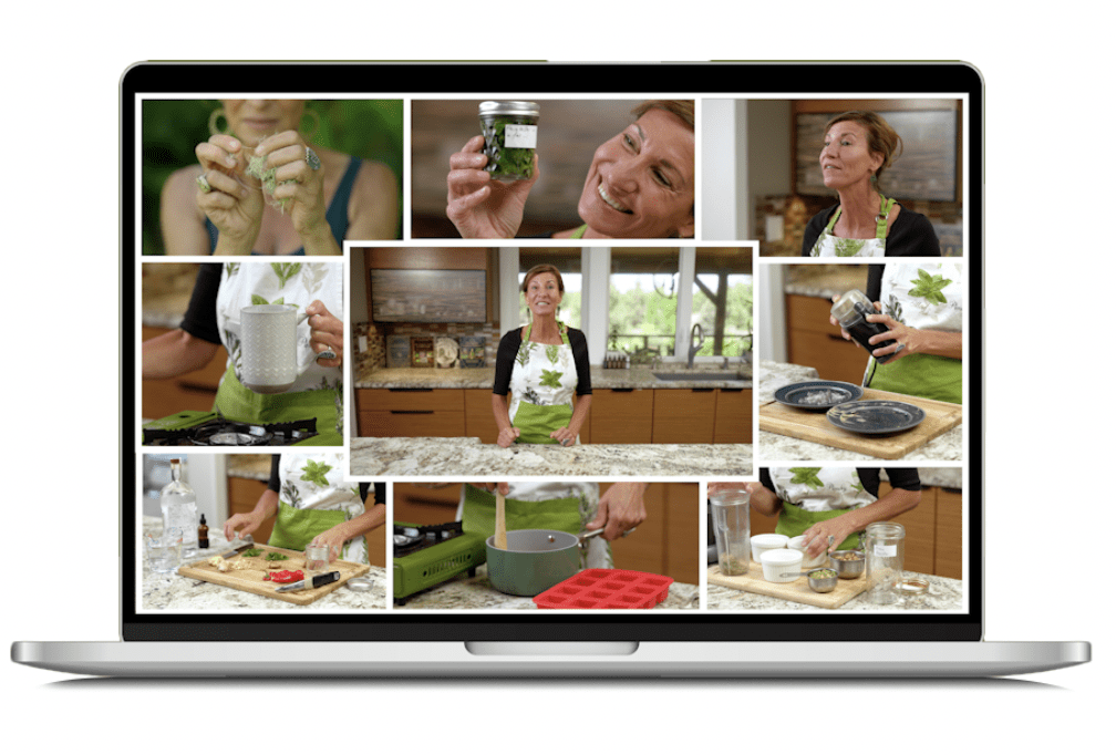 laptop screen with shots of Nicole Apelian teaching from the kitchen