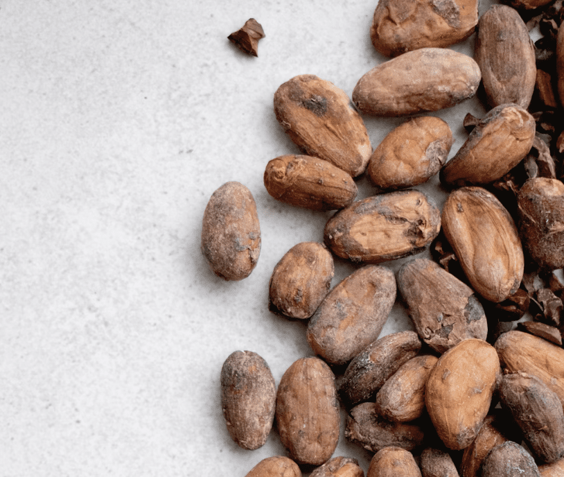 cocoa beans cocoa beans