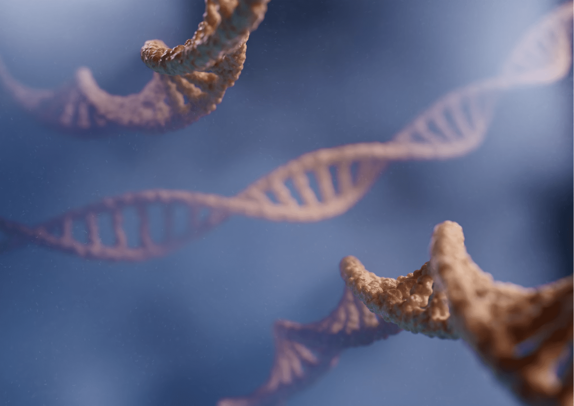 dna strands dna strands